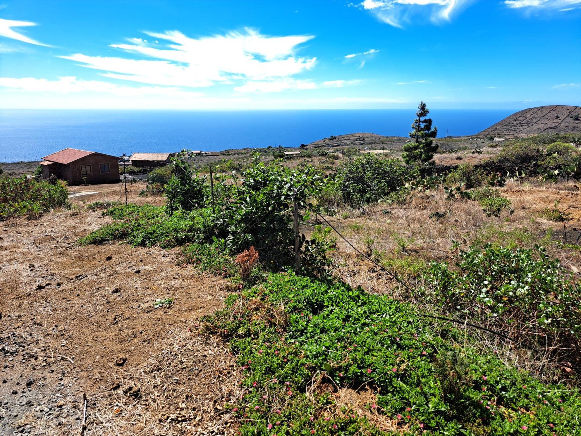 Las Casitas De Pao El Pinar  객실 사진